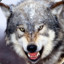 DR.WOLF