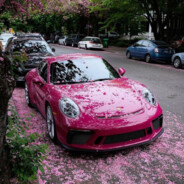 KinLeyJon ***********