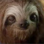 Sloth