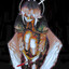 Shiuria