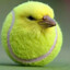 Bird Ball