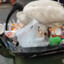 Bin_thiccen