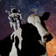 spacecow