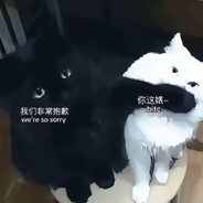 摸着你的良心说话