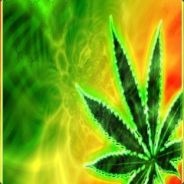 KamiL   at. rook het  ™