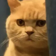 马枪马到飞起的阿牛