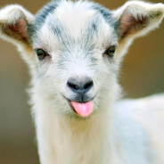 goat Steam avatar