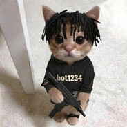 bot1234