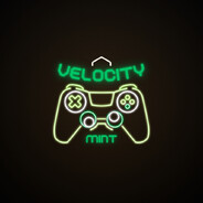 VelocityMint