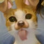 mupsie