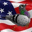 Patriot Pigeon