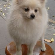 假如真爱有颜色那一定是Miku色