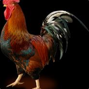 bazookabonne - steam id 76561197960697577