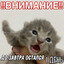 писькагрыз