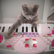 miku - steam id 76561198963860649