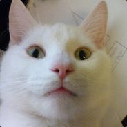 路人翀 - steam id 76561197961203541