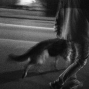 -mln - steam id 76561198199275411