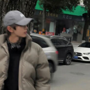 风吹霜落花飘雪