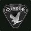 [Y3K] Condor