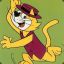 Don Gato