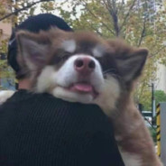 你老盯着你那个b锅干什么玩意儿