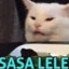 SaSa LeLe