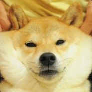 我要食人