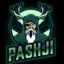 PashjiH on Twitch