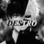 DESTRO