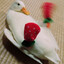 the duck sock