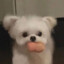 我不是小妍