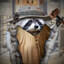 retired raccoon