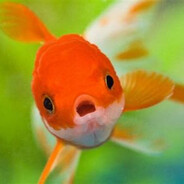 Goldfish1ng