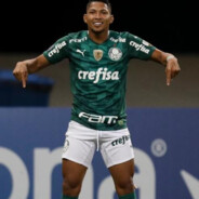 Rony Rustico