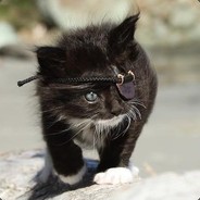 KATO - steam id 76561197971077771