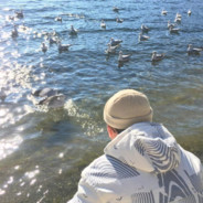 绕到你身后刀了你