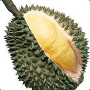 我那覇響