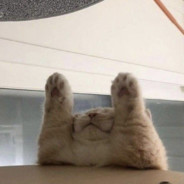 世上没有真的感同身受