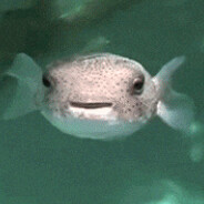 FishCD
