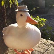 thiccduck