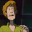 Shaggy