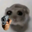 Angry_Hamster