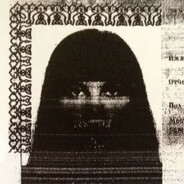 snajper wisla sharks