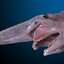 gobin shark