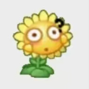 老公偷穿蕾丝内裤当0