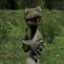 Mr. Balloon Hands