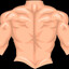 Back