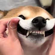 这沟石一样的人生