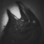 TheRaven003