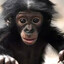 Professional Monkey